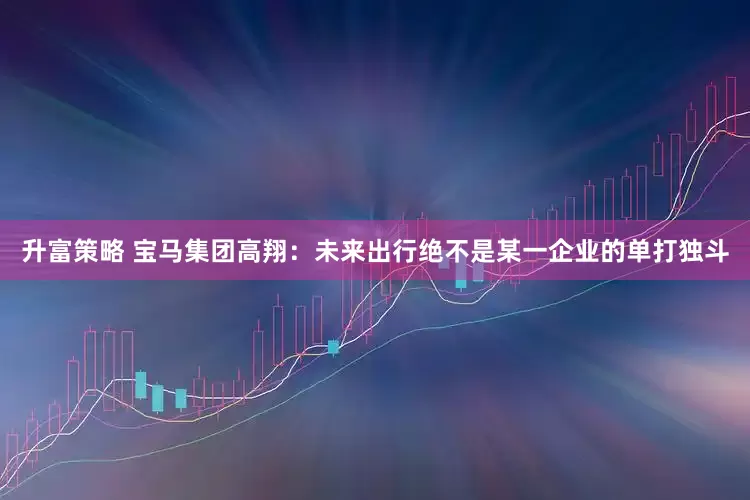 升富策略 宝马集团高翔：未来出行绝不是某一企业的单打独斗