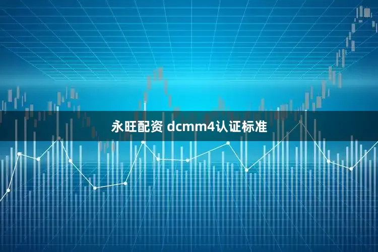 永旺配资 dcmm4认证标准